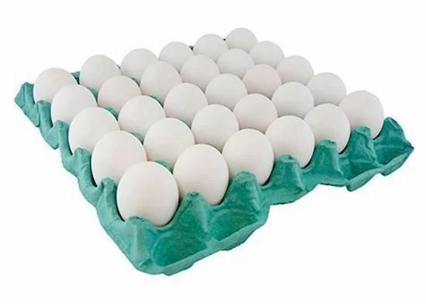 تصویر 1 از خرید شانه تخم مرغ مقوایی + قیمت فروش استثنایی